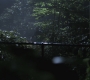 SPN_1077.jpg