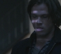 SPN_1123.jpg