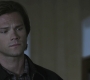 SPN_1262.jpg