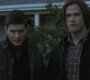 SPN_1311.jpg