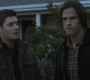 SPN_1314.jpg