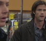 SPN_0502.jpg