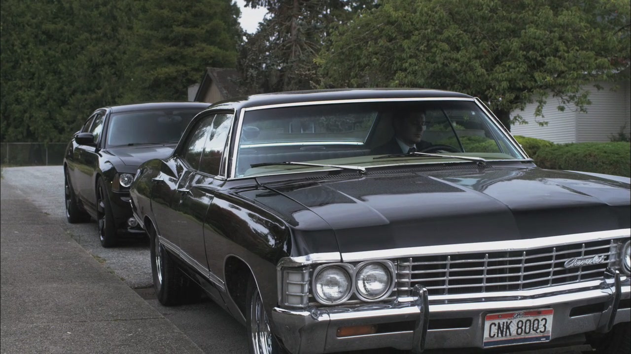 SPN_0303.jpg