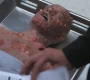 SPN_0283.jpg