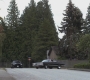 SPN_0298.jpg