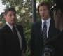 SPN_0319.jpg