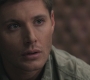 SPN_0498.jpg