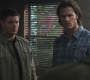 SPN_0566.jpg