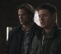 SPN_0769.jpg