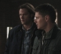 SPN_0770.jpg