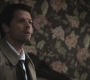 SPN_0774.jpg