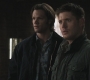 SPN_0782.jpg