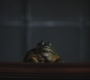 Filename=SPN_1016.jpg
Filesize=78KiB
Dimensions=1280x720
Date added=Sep 30, 2021 SPN_1016.jpg