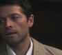SPN_1049.jpg