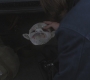 SPN_1316.jpg