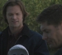 SPN_1321.jpg