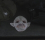 SPN_1323.jpg