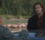 SPN_1378.jpg