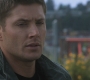 SPN_1384.jpg