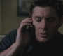 SPN_0731.jpg