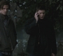 SPN_0993.jpg