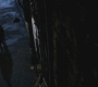 Filename=SPN_0146.jpg
Filesize=109KiB
Dimensions=1280x720
Date added=Sep 30, 2021 SPN_0146.jpg