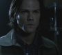 SPN_0439.jpg