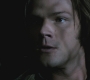 SPN_0442.jpg