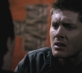 SPN_0458.jpg