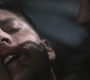 SPN_0517.jpg