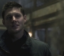 SPN_0930.jpg