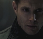 SPN_0965.jpg