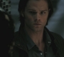 SPN_1116.jpg