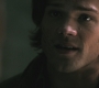 SPN_1238.jpg