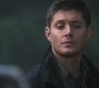 SPN_0537.jpg
