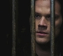 Filename=SPN_0879.jpg
Filesize=43KiB
Dimensions=1280x720
Date added=Sep 30, 2021 SPN_0879.jpg