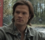 SPN_0053.jpg