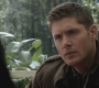 SPN_0054.jpg