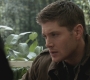 SPN_0058.jpg