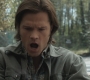 SPN_0066.jpg