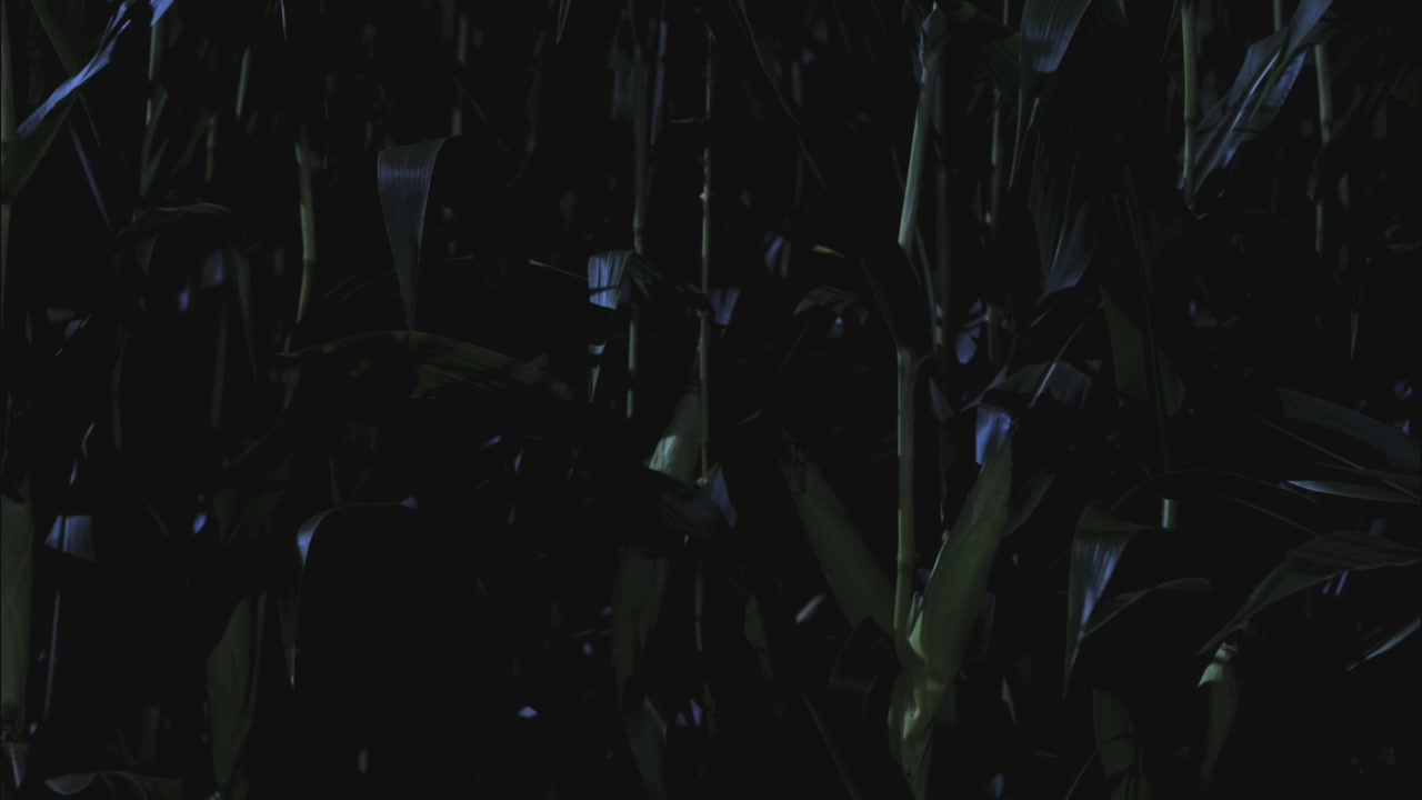 SPN_0242.jpg