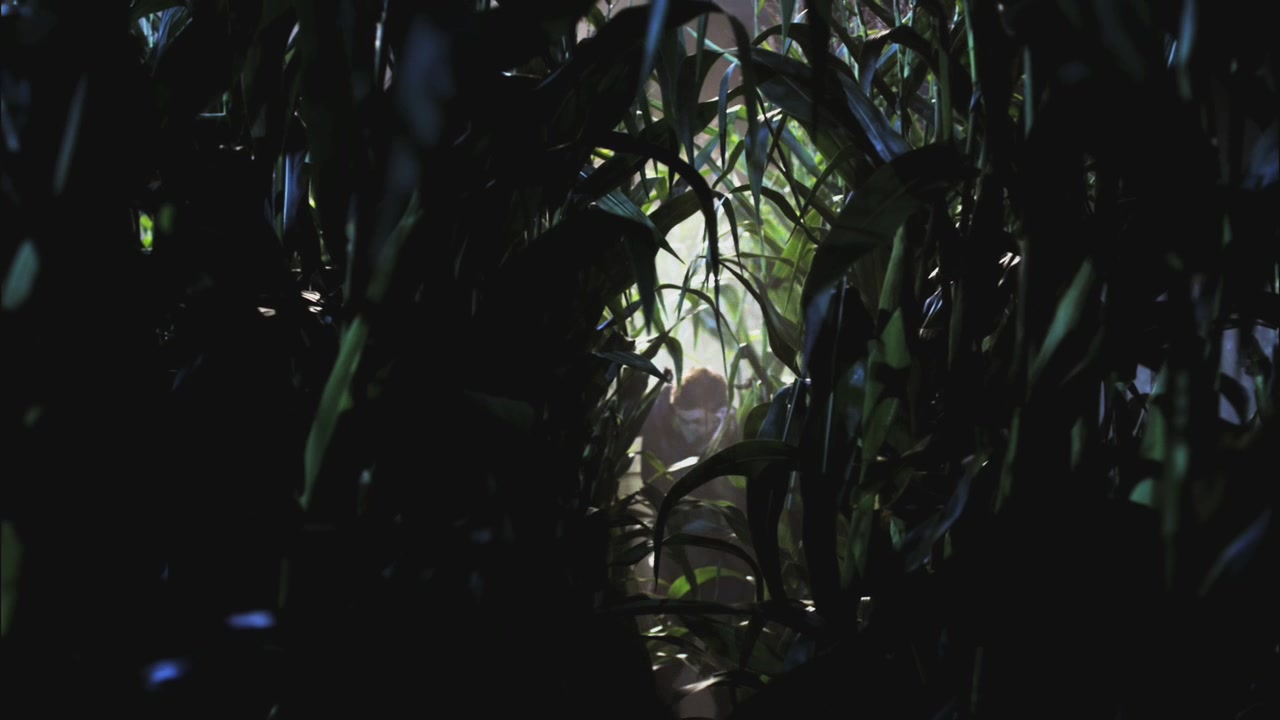 SPN_0256.jpg