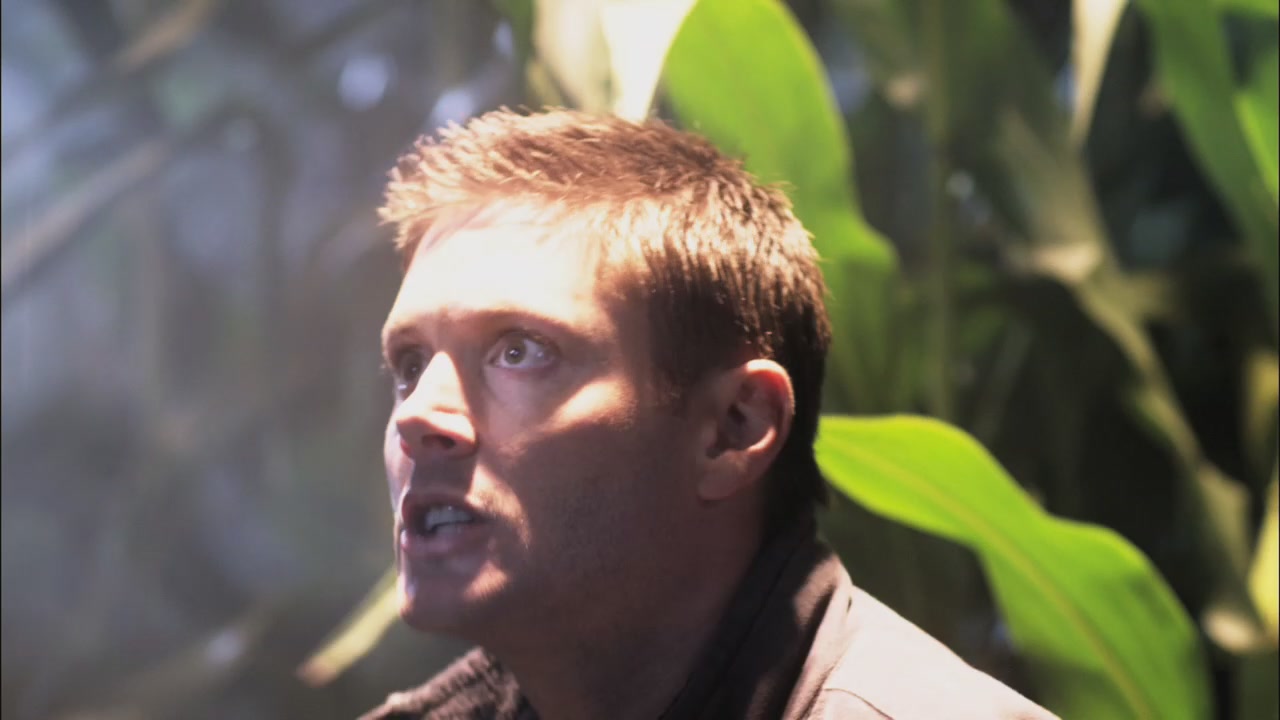 SPN_0274.jpg