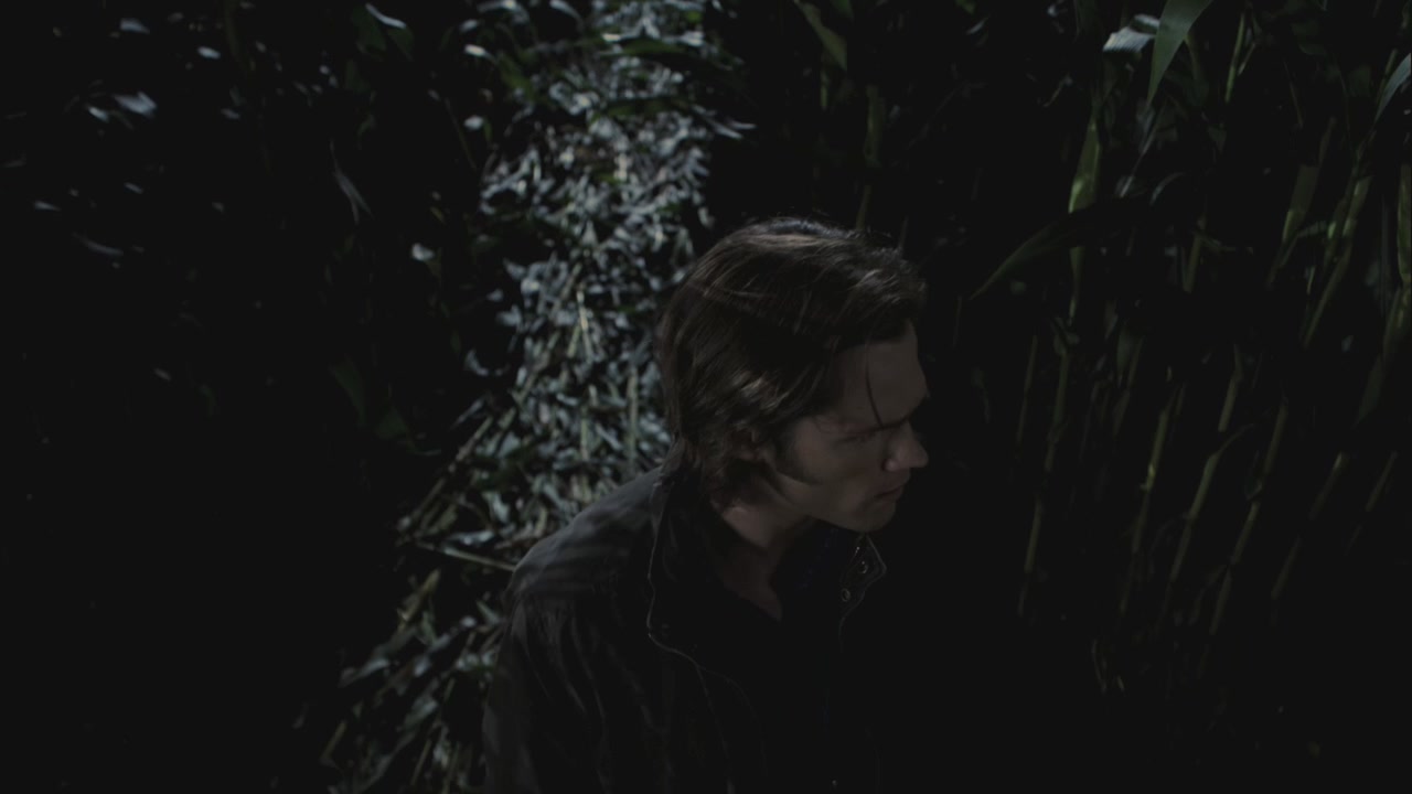 SPN_0299.jpg