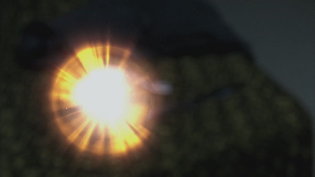 SPN_0623.jpg