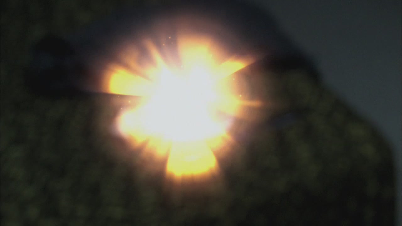 SPN_0626.jpg