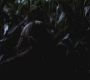 SPN_0034.jpg
