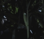SPN_0035.jpg