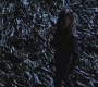 SPN_0048.jpg