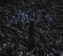 SPN_0049.jpg